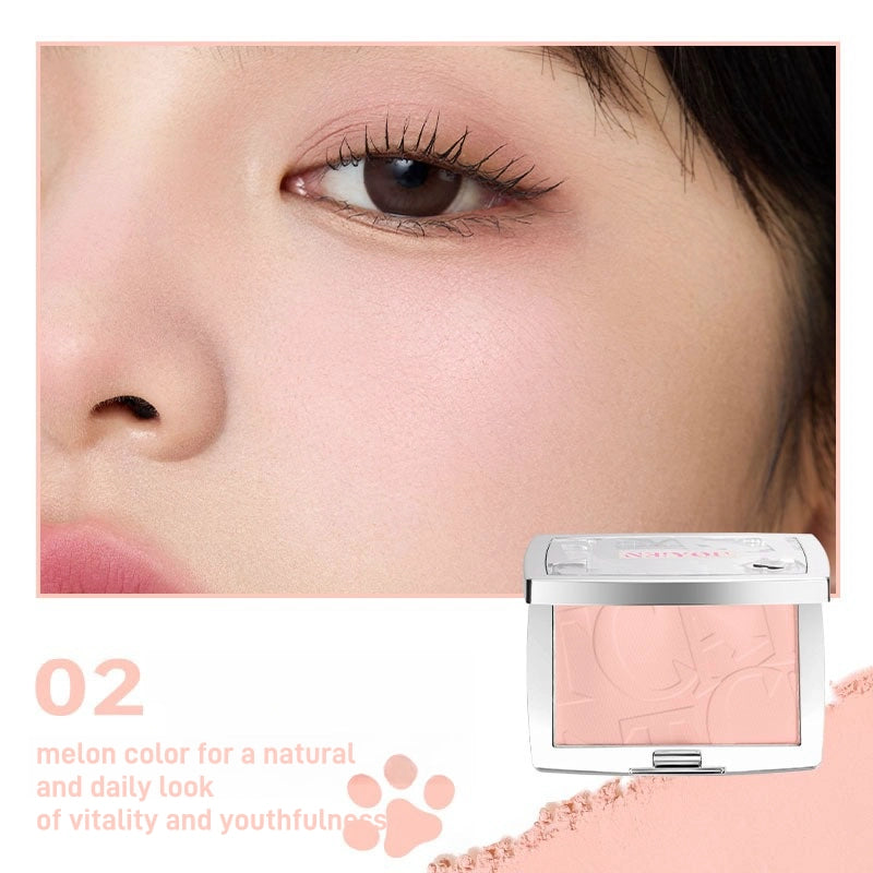 NEIYOU Cat Files Blush Powder 3g