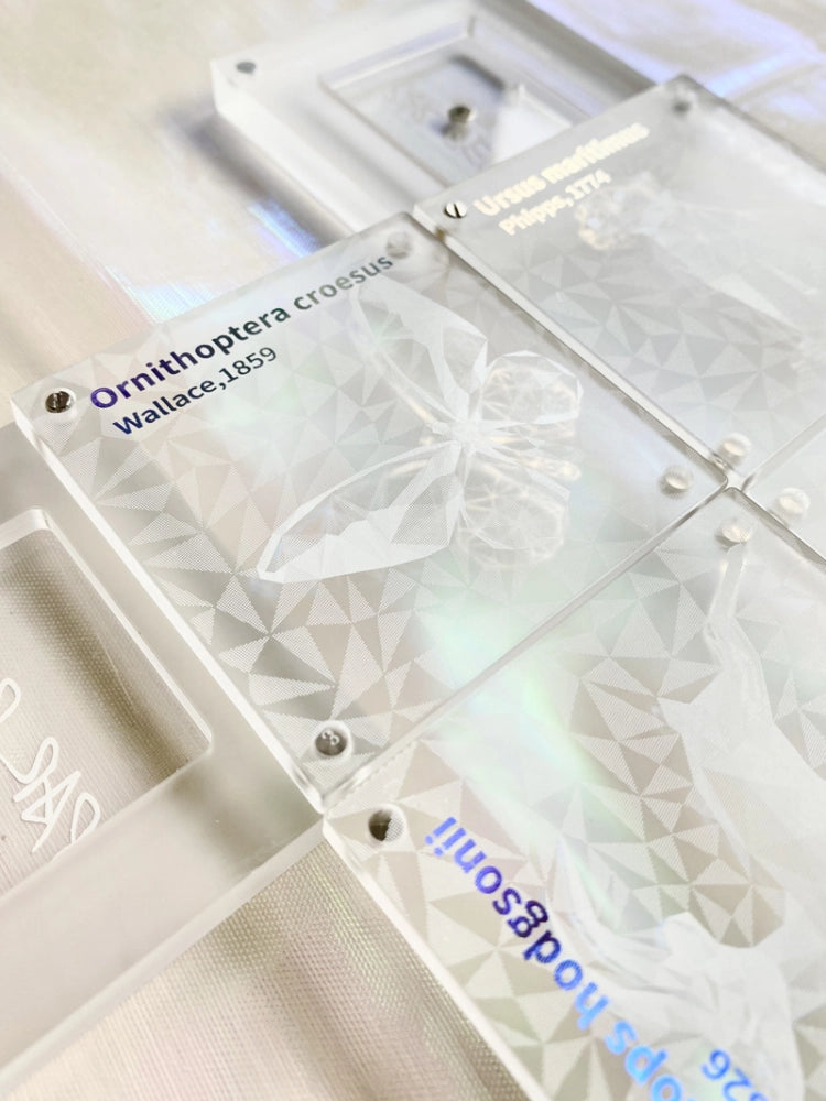 PARPER Endangered Species Blusher Duo 5.5g