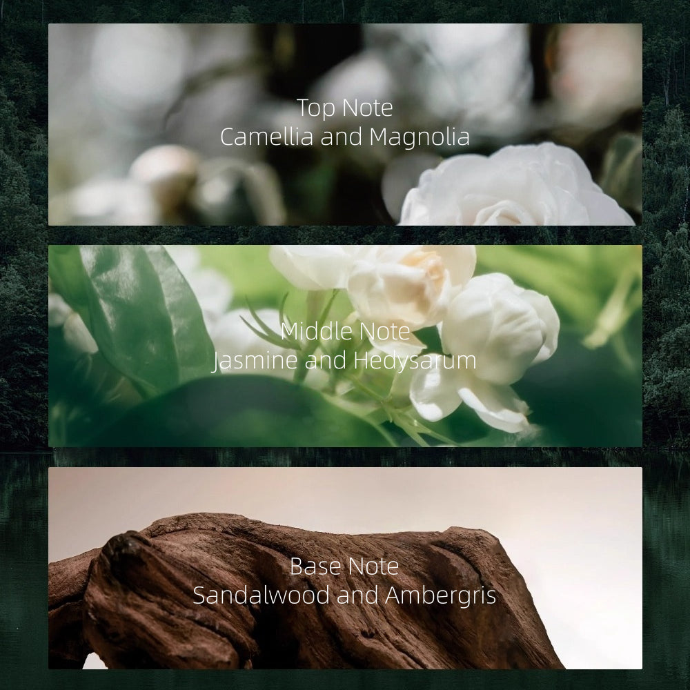 REC - Lasting Oil Control Setting Spray 80ml